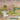 Japanese Spring: Garden Wallpaper With Cherry Blossoms & Birds